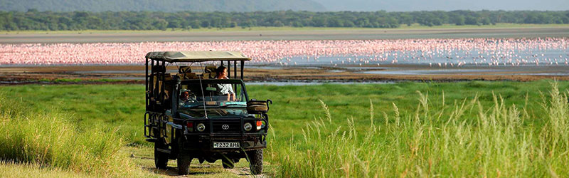 Lake-Manyara-safari