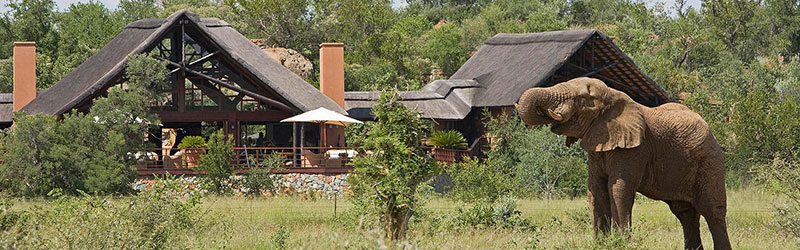 Tanzania-Lodge-Safari